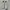 Nike Streetwear Sportswear Sneakers Wanita white photo 2