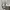 Nike Streetwear Sportswear Sneakers Wanita white photo 4