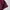Champion Casual T-shirt Pria burgundy photo 3