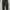 Gu pleated corduroy pants photo 2