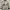 Helly Hansen vintage 90s Y2K coat biege sailing jacket photo 2