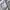 EIDER WINDBREAKER OUTDOOR JACKET | OUTERWEAR | SONLY photo 7