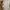 ZARA Casual Casual dress Wanita white photo 4