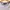 New Balance Sportswear Casual Trench coat Pria white photo 2