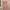 ZARA Casual Casual dress Wanita orange photo 4