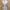 ZARA Luxury Summer Dress Wanita Pink