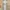 ZARA Luxury Summer dress Wanita pink photo 4