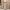 ZARA Luxury Summer dress Wanita pink photo 1