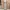 ZARA Luxury Summer Dress Wanita Pink