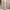 ZARA Luxury Summer dress Wanita pink photo 5