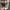 Jam Tangan Fossil Gen 6 Smartwatch Rose Gold-Tone photo 5