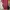 Cheongsam / Qipao Modern Dress photo 2