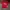 Sportswear Jersey Pria white red photo 1