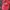 American Eagle Outfitters Y2K Casual Hat Pria red photo 1