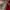 American Eagle Outfitters Y2K Casual Hat Pria Red