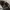 New Era Casual Hat Pria black photo 6