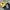 MLB Yellow  photo 2