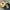 MLB Yellow 