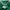 Asics Sportswear Track jacket Pria green photo 3