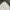 Burberry Luxury Polo shirt Pria white photo 2