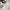 Burberry Luxury Polo shirt Pria white photo 4