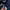 Burberry Luxury Polo shirt Pria navy photo 3