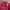 H&M kulit domba warna merah bomber biker motoran cewek jaket photo 3