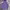 Covernat Streetwear Gorpcore Windbreaker Pria purple photo 2