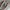 PUMA AC Milan 2022-23 Player issue Away Shorts photo 6