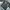 Tshirt Longslave Mahagrid Black