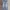 Edwin 505BXX Selvedge Jeans Vintage Blue Wash Second