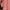 Shine Bourn - Atasan Knit Peach  photo 3