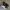 Nike Streetwear Casual Sneakers Pria white black photo 1