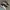 Nike Streetwear Casual Sneakers Pria white black photo 3