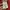 Moncler Gamme Bleu Chevron Sweatshirt photo 8