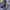 PRL BOX STRIP  photo 4