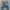ADA Fashion Biker Emo Boyfriend jeans Wanita blue photo 5
