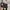 Coach Vintage Bag Shoulder Sling tas Coc photo 10