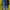 Asics Sportswear T-shirt Pria multicolor photo 3