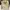 Work jacket carhartt canvas vintage work wear photo 3