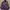 Adidas Windbreaker 3 Stripes  photo 3
