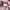 Jersey Bali United Home Replica Version 2026 photo 8