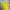 FRED PEREY POLO SHIRT ICONIC LEMON COLOUR