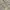 ZARA Lolita Coquette Casual dress Wanita tan cream photo 2