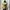 Issey Miyake Casual T-shirt Wanita yellow photo 1