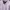 Uniqlo Minimalist Casual Shirt Wanita purple photo 1
