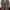 Converse Chuck Taylor All-Star low “Create Future” photo 6