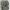 The North Face Streetwear Casual Sneakers Pria black photo 7