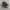 The North Face Streetwear Casual Sneakers Pria black photo 1