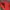 Vintage Casual Pria red photo 2